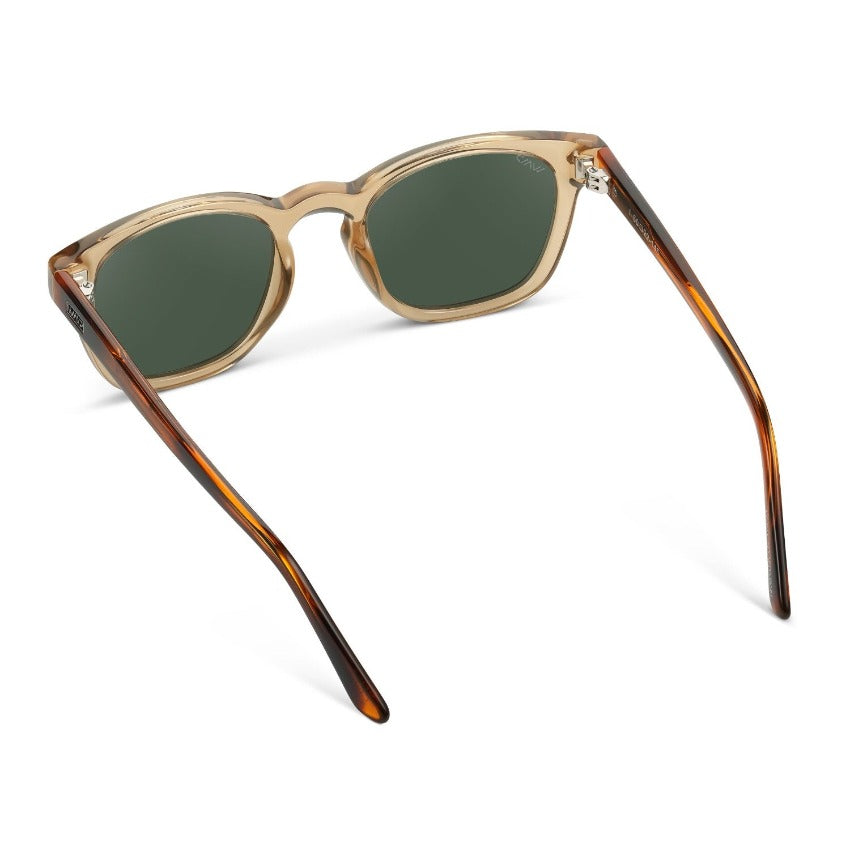 Forrest | Polarized