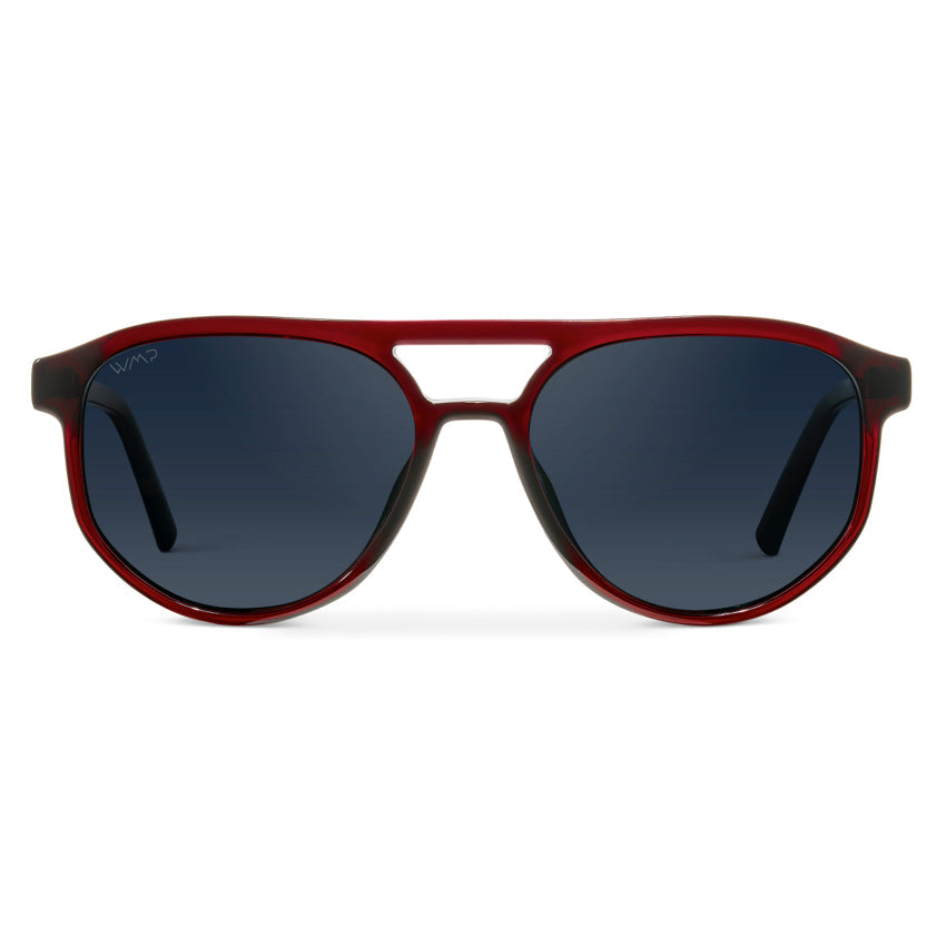 Hudson | Polarized