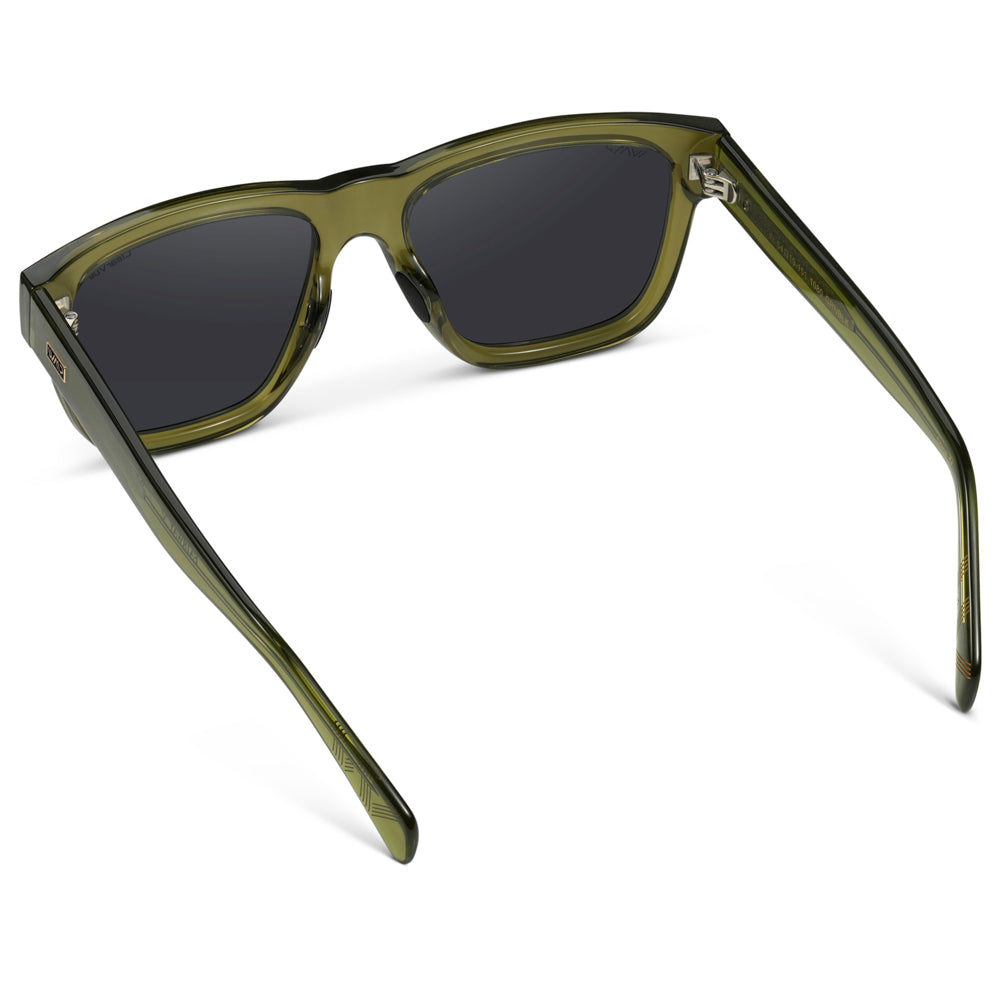 Link | Polarized