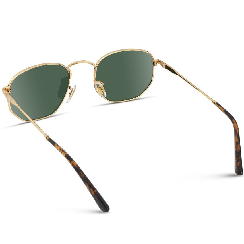 Bexley | Polarized