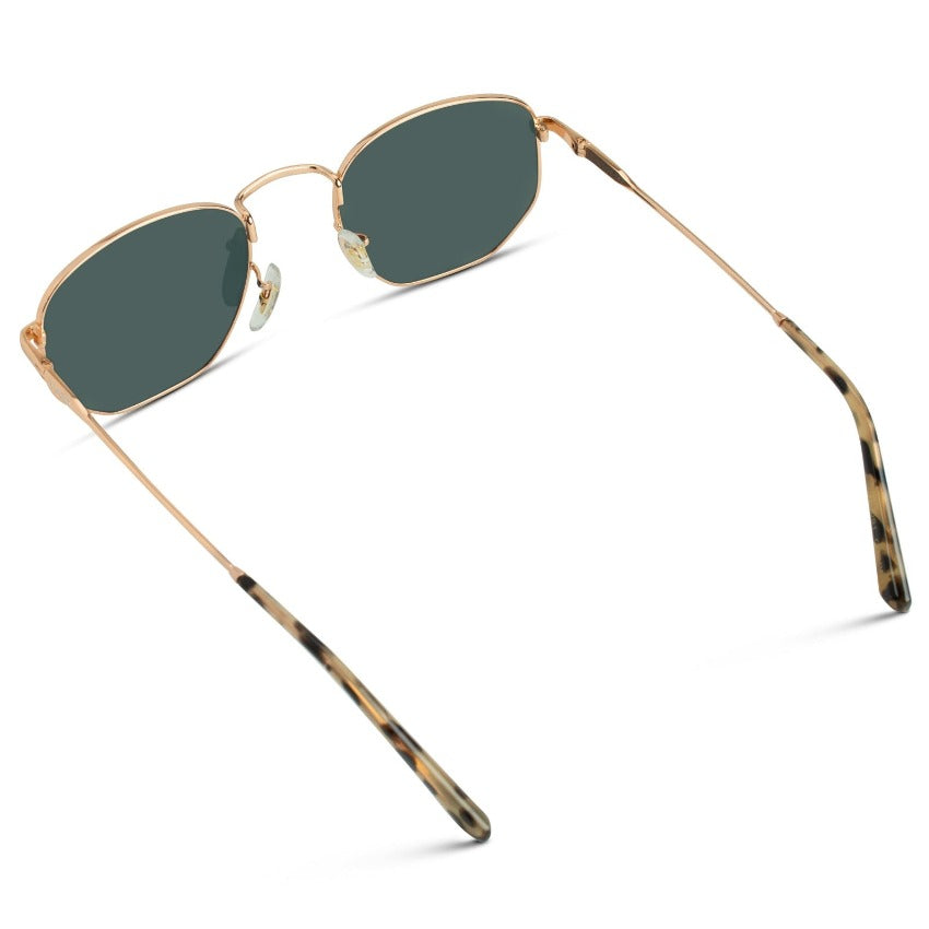 Bexley | Polarized