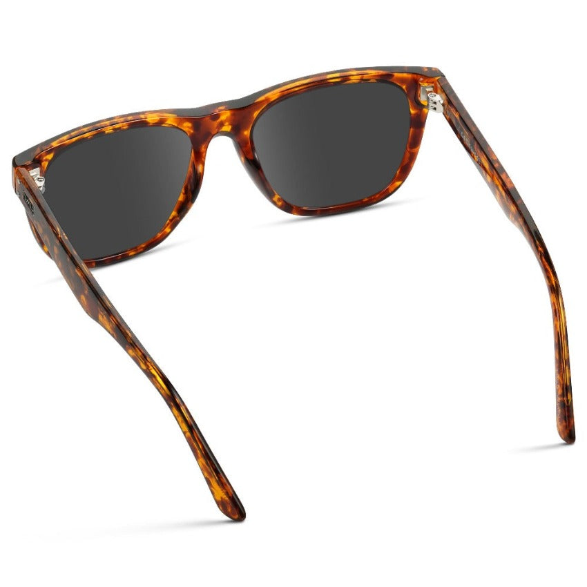 Reed | Prescription Sunglasses